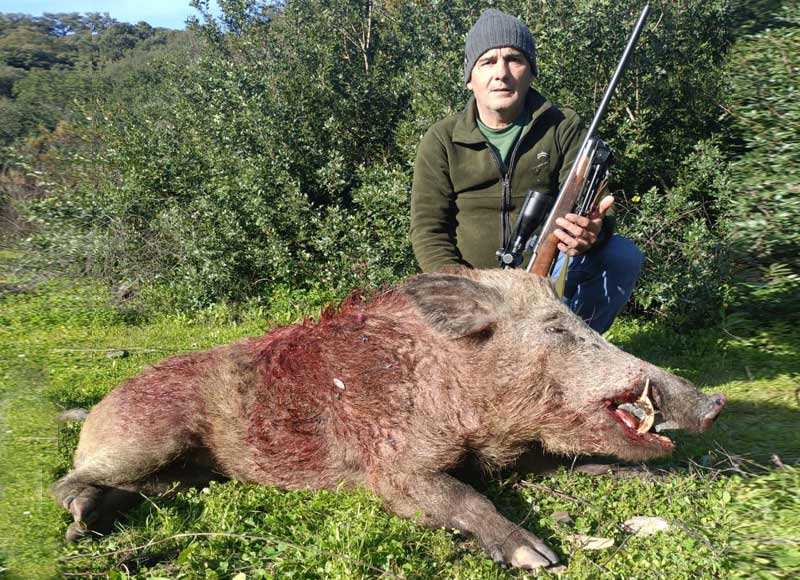 Resultado Montería El Navazo 2024 Servicios Integrales de Caza